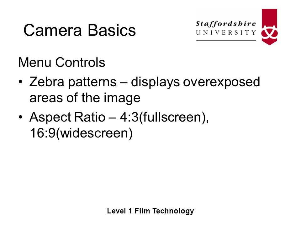 Camera Basics Level 1 Film Technology Menu Controls Zebra patterns – displays overexposed areas of the image Aspect Ratio – 4:3(fullscreen), 16:9(widescreen)
