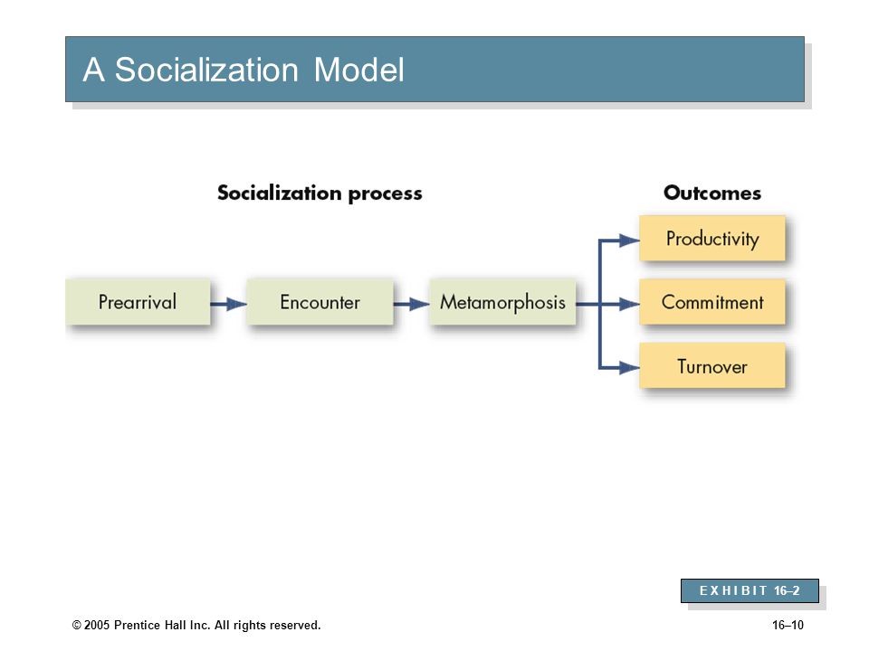 © 2005 Prentice Hall Inc. All rights reserved.16–10 A Socialization Model E X H I B I T 16–2