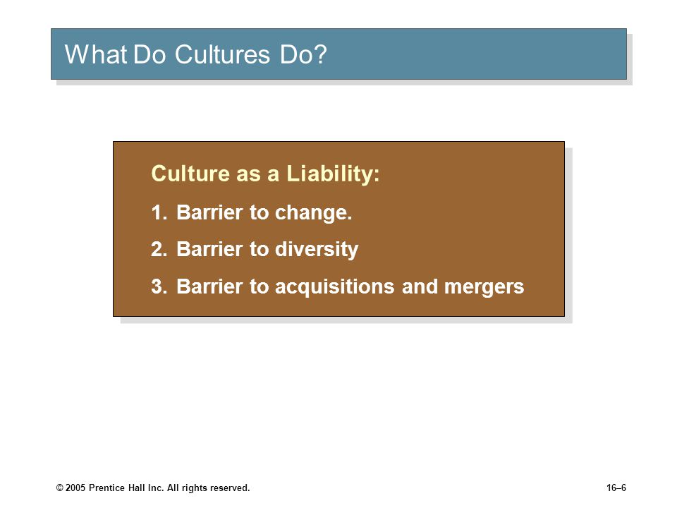© 2005 Prentice Hall Inc. All rights reserved.16–6 What Do Cultures Do.