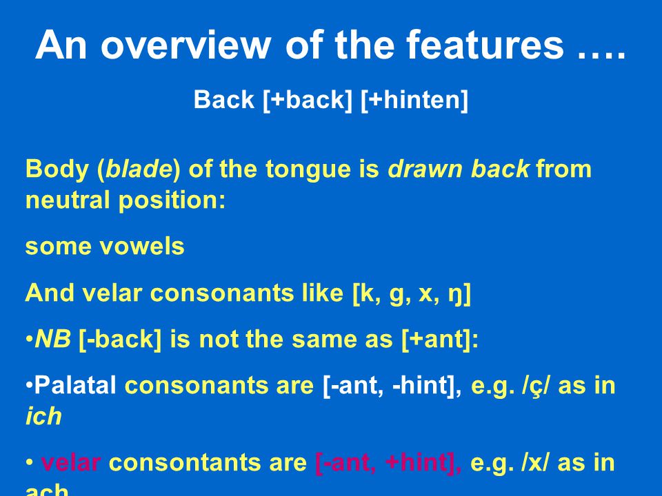 Introduction To Linguistics The Sounds Of German R Dr Nicola Mclelland Ppt Download