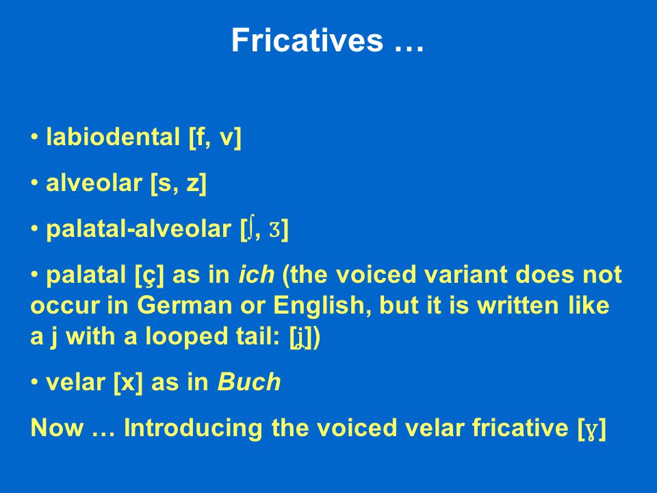 Introduction To Linguistics The Sounds Of German R Dr Nicola Mclelland Ppt Download