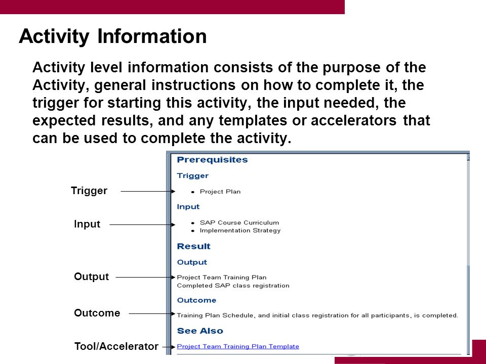 University of Southern California Activity Information Activity level information consists of the purpose of the Activity, general instructions on how to complete it, the trigger for starting this activity, the input needed, the expected results, and any templates or accelerators that can be used to complete the activity.