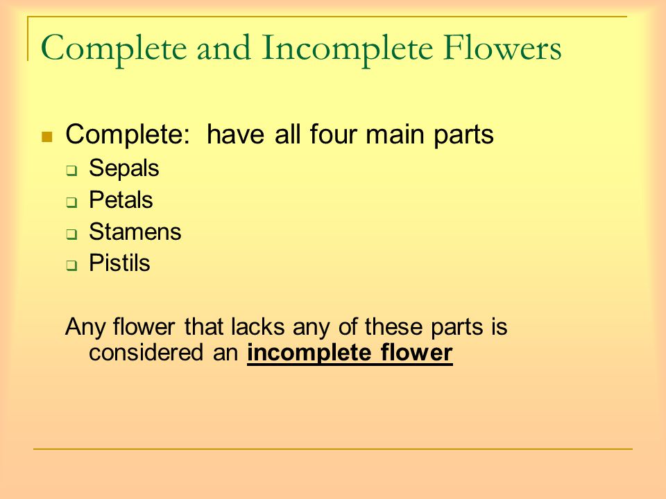 Complete and Incomplete Flowers Complete: have all four main parts  Sepals  Petals  Stamens  Pistils Any flower that lacks any of these parts is considered an incomplete flower