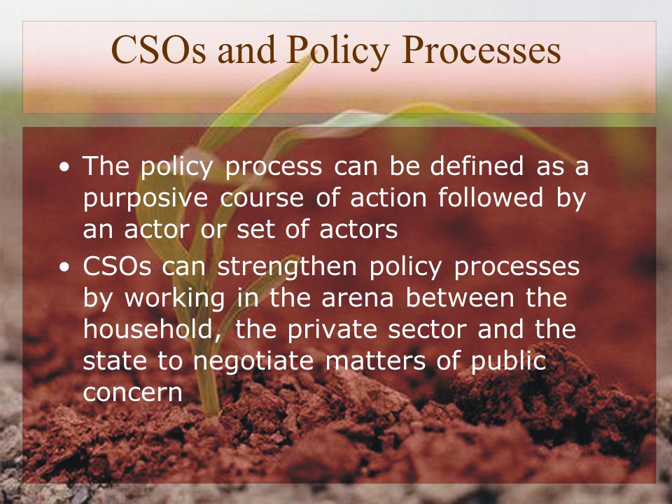 CSOs and Policy Processes The policy process can be defined as a purposive course of action followed by an actor or set of actors CSOs can strengthen policy processes by working in the arena between the household, the private sector and the state to negotiate matters of public concern