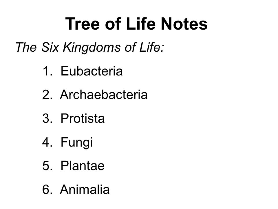 Tree Of Life Notes The Six Kingdoms Of Life Tree Of Life Notes The Six Kingdoms Of Life