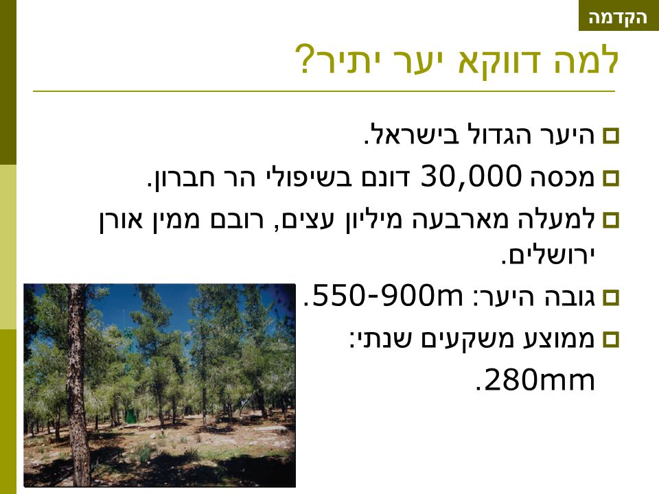 למה דווקא יער יתיר .  היער הגדול בישראל.  מכסה 30,000 דונם בשיפולי הר חברון.
