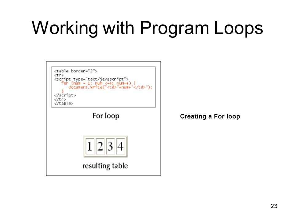 23 Working with Program Loops Creating a For loop