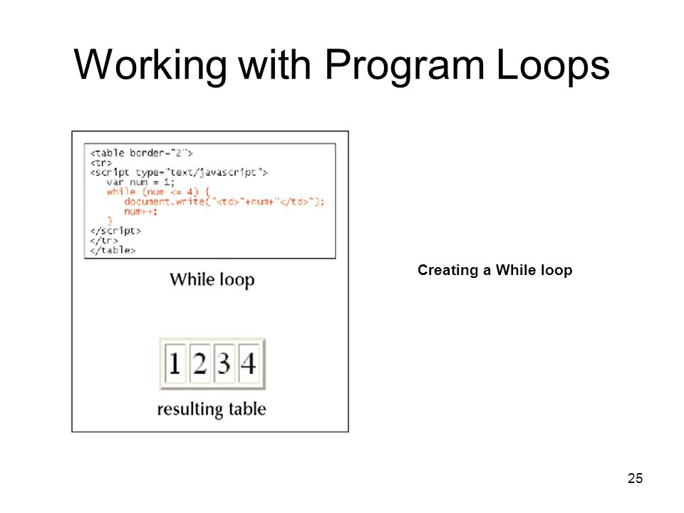 25 Working with Program Loops Creating a While loop