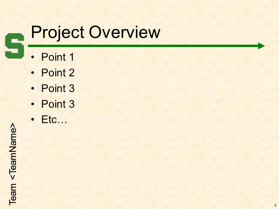 Team Project Overview Point 1 Point 2 Point 3 Etc… 4