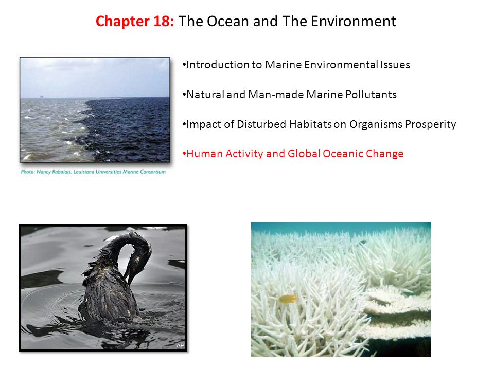 Introduction to Marine Environmental Issues Natural and Man-made Marine Pollutants Impact of Disturbed Habitats on Organisms Prosperity Human Activity and Global Oceanic Change Chapter 18: The Ocean and The Environment