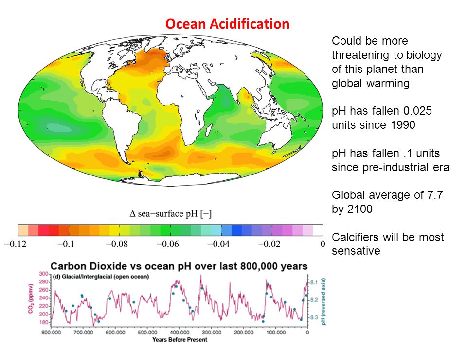 Ocean Acidification Could be more threatening to biology of this planet than global warming pH has fallen units since 1990 pH has fallen.1 units since pre-industrial era Global average of 7.7 by 2100 Calcifiers will be most sensative