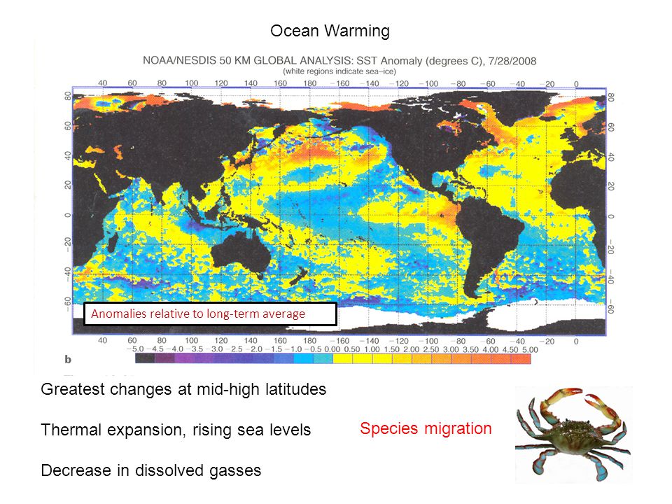 Ocean Warming Greatest changes at mid-high latitudes Thermal expansion, rising sea levels Decrease in dissolved gasses Anomalies relative to long-term average Species migration