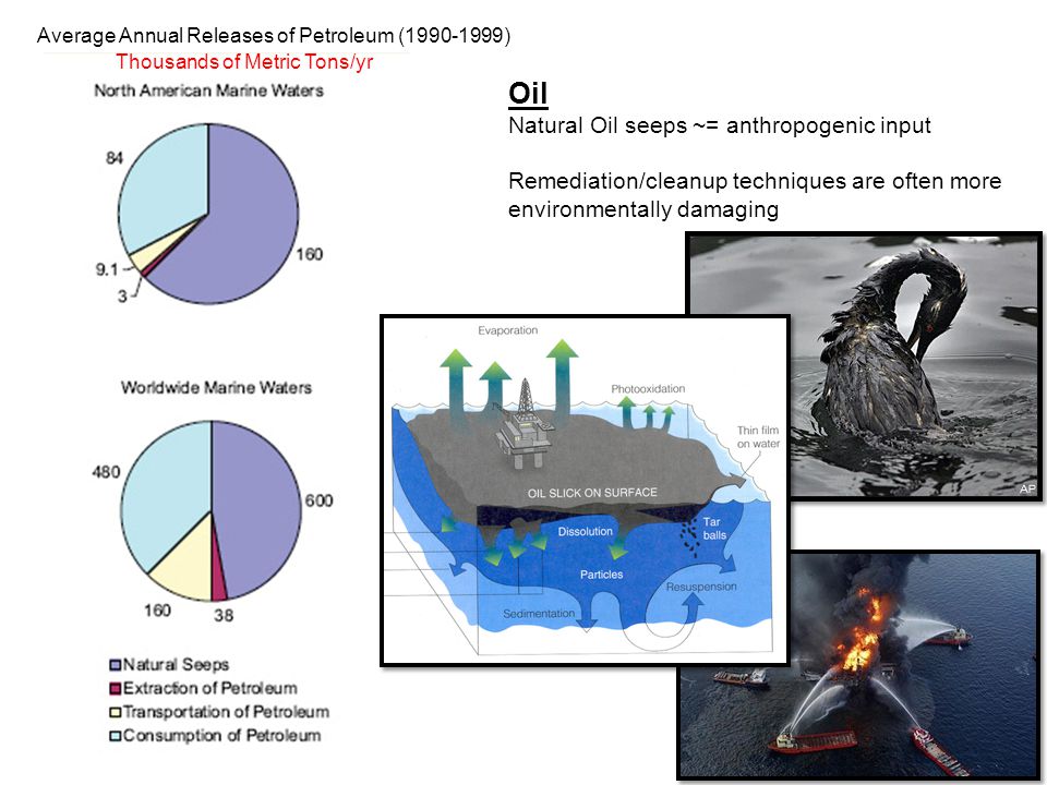 Oil Natural Oil seeps ~= anthropogenic input Remediation/cleanup techniques are often more environmentally damaging Average Annual Releases of Petroleum ( ) Thousands of Metric Tons/yr