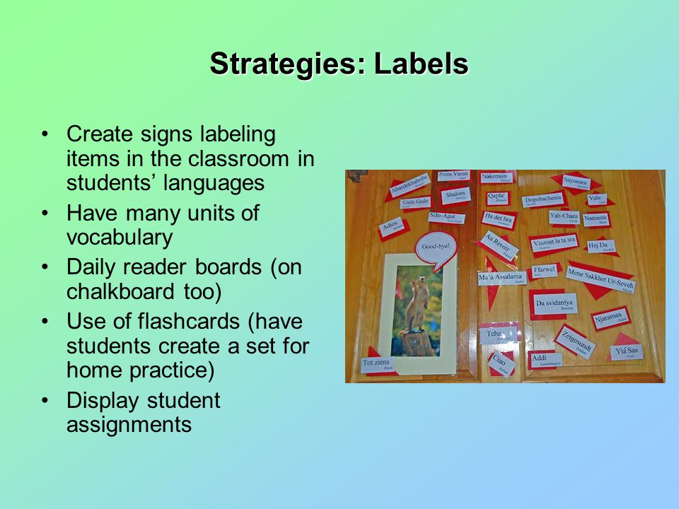 Strategies: Labels Create signs labeling items in the classroom in students’ languages Have many units of vocabulary Daily reader boards (on chalkboard too) Use of flashcards (have students create a set for home practice) Display student assignments