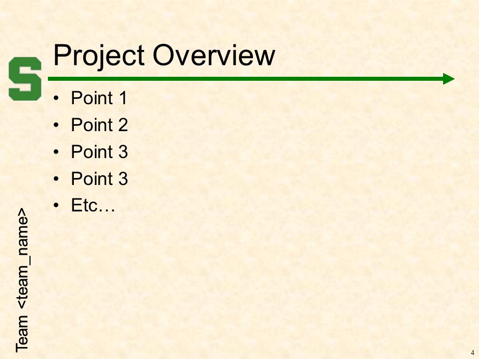 Team Project Overview Point 1 Point 2 Point 3 Etc… 4