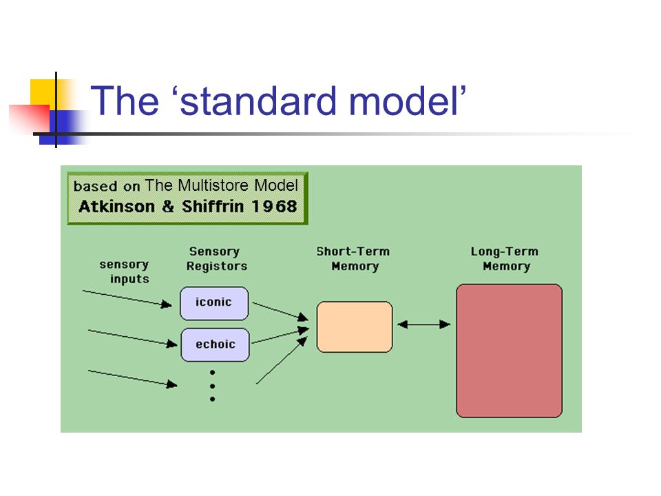 The ‘standard model’ The Multistore Model