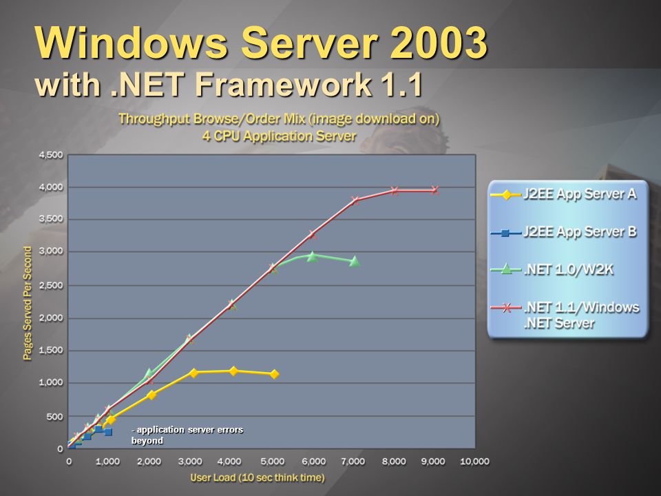 Windows Server 2003 with.NET Framework application server errors beyond
