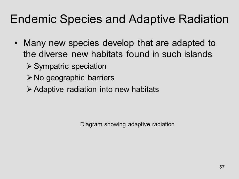 37 Endemic Species and Adaptive Radiation Many new species develop that are adapted to the diverse new habitats found in such islands  Sympatric speciation  No geographic barriers  Adaptive radiation into new habitats Diagram showing adaptive radiation