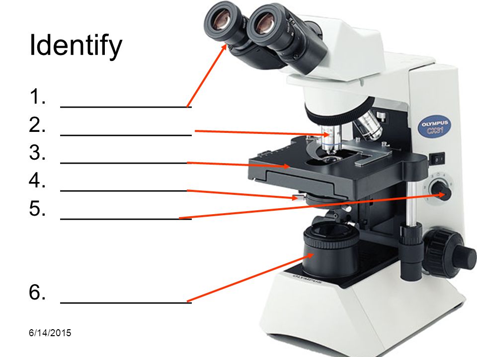 最大56％オフ！ TRUSCO ズーム式実体顕微鏡 三眼 LED照明 SCOPRO