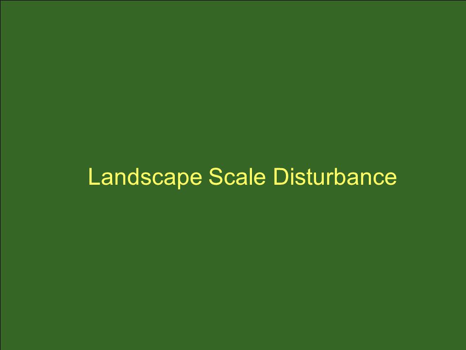 Landscape Scale Disturbance