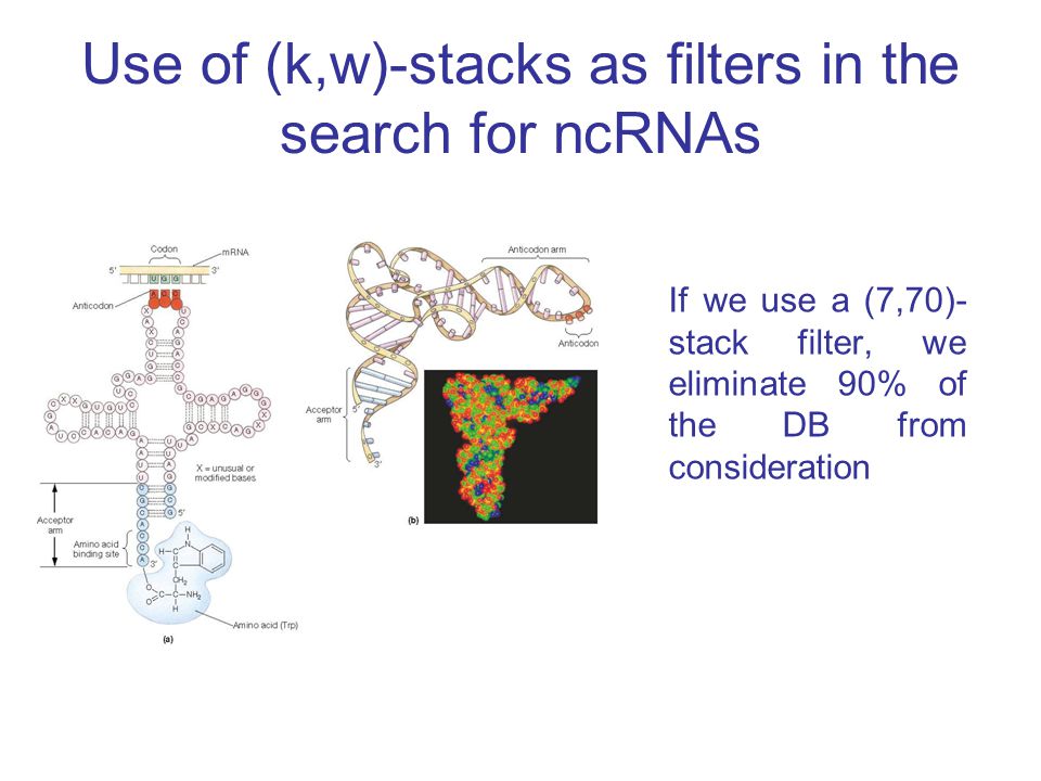 Searching genomes for noncoding RNA CS374 Leticia Britos 10/03/ ppt download