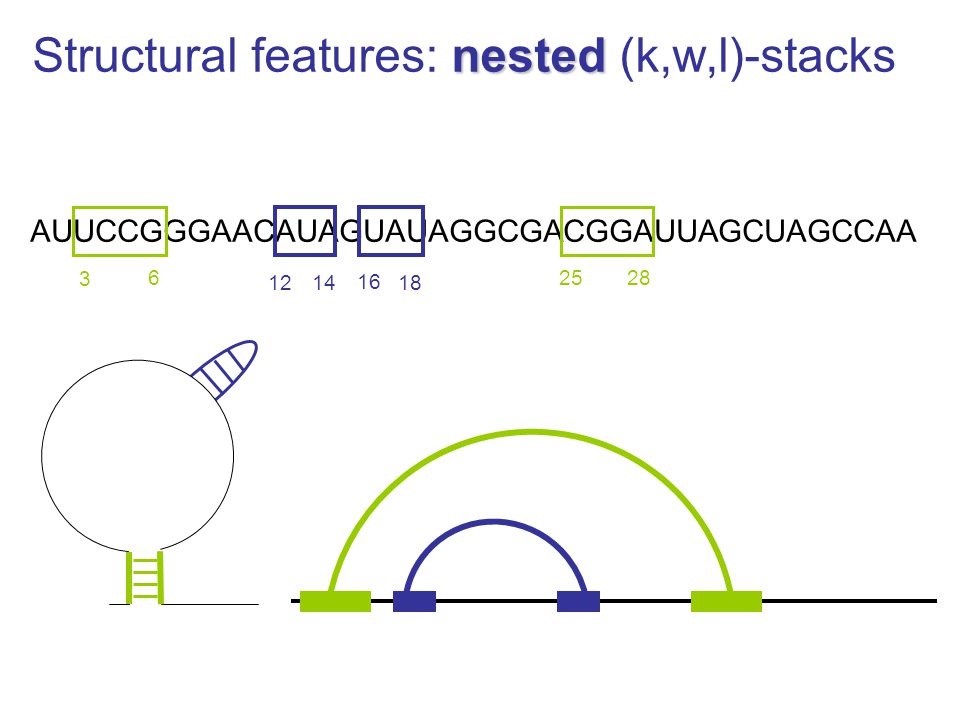 nested Structural features: nested (k,w,l)-stacks AUUCCGGGAACAUAGUAUAGGCGACGGAUUAGCUAGCCAA