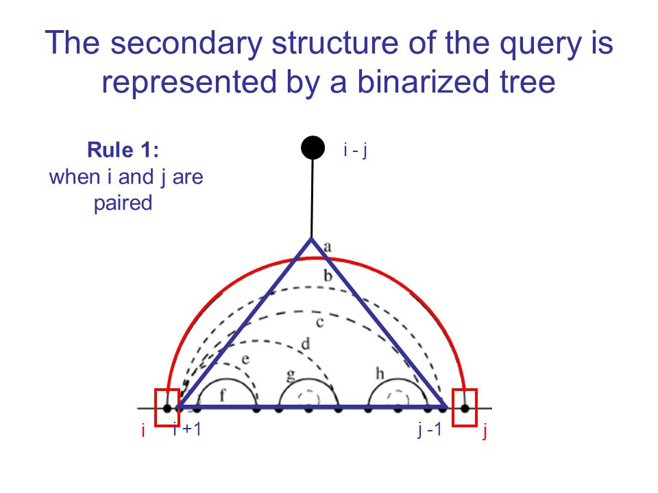 The secondary structure of the query is represented by a binarized tree ji j -1i +1 i - j Rule 1: when i and j are paired