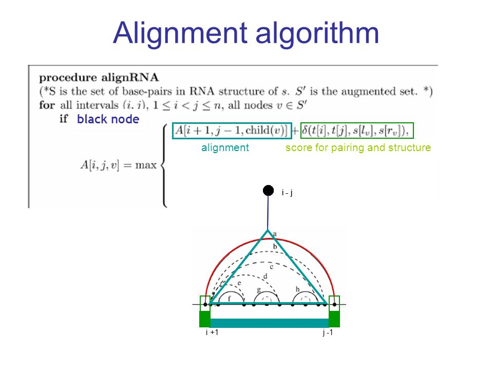 Alignment algorithm white node / one child white node / two children black node ji j-1i +1 i-j j - 1 i-j alignmentscore for pairing and structure