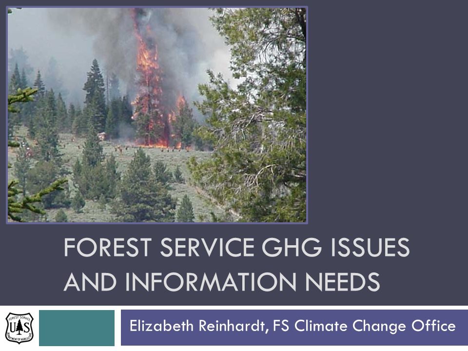 FOREST SERVICE GHG ISSUES AND INFORMATION NEEDS Elizabeth Reinhardt, FS Climate Change Office
