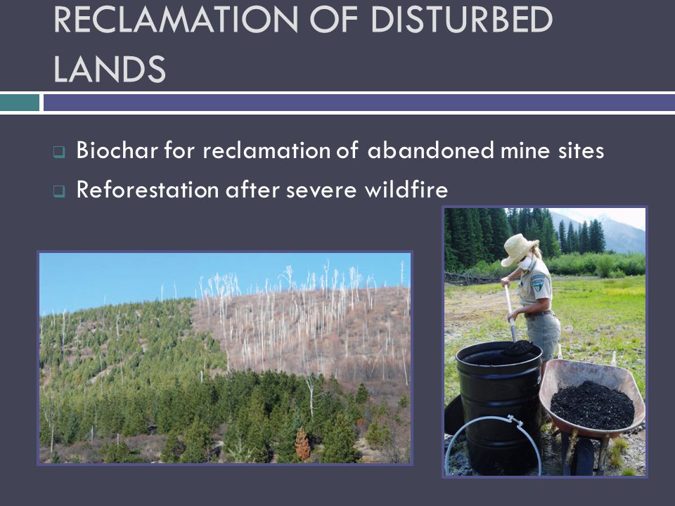 RECLAMATION OF DISTURBED LANDS  Biochar for reclamation of abandoned mine sites  Reforestation after severe wildfire