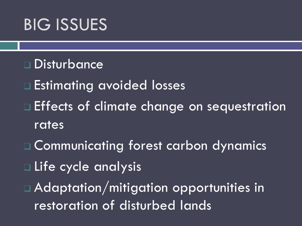 BIG ISSUES  Disturbance  Estimating avoided losses  Effects of climate change on sequestration rates  Communicating forest carbon dynamics  Life cycle analysis  Adaptation/mitigation opportunities in restoration of disturbed lands