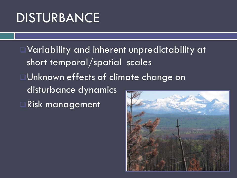 DISTURBANCE  Variability and inherent unpredictability at short temporal/spatial scales  Unknown effects of climate change on disturbance dynamics  Risk management
