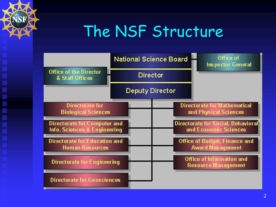 2 The NSF Structure