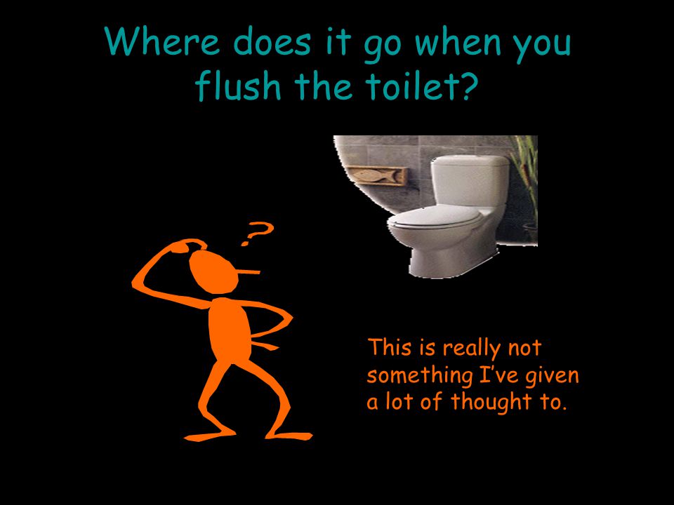 Where does it go when you flush the toilet.