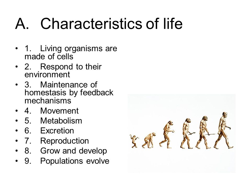 10 acharacteristics of life 1living organisms are made of cells 2respond to their environment 3maintenance of homestasis by feedback mechanisms 4