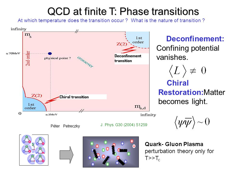 QCD at finite T: Phase transitions QCD at finite T: Phase transitions Quark- Gluon Plasma perturbation theory only for T>>T c J.