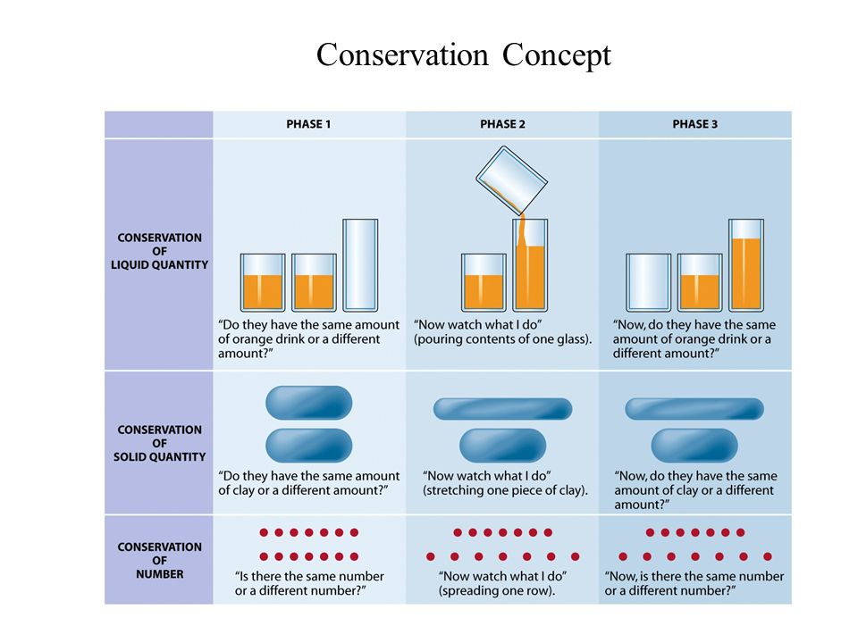 Conservation Concept