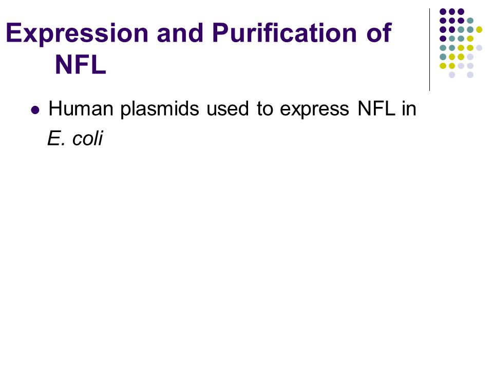 Expression and Purification of NFL Human plasmids used to express NFL in E. coli