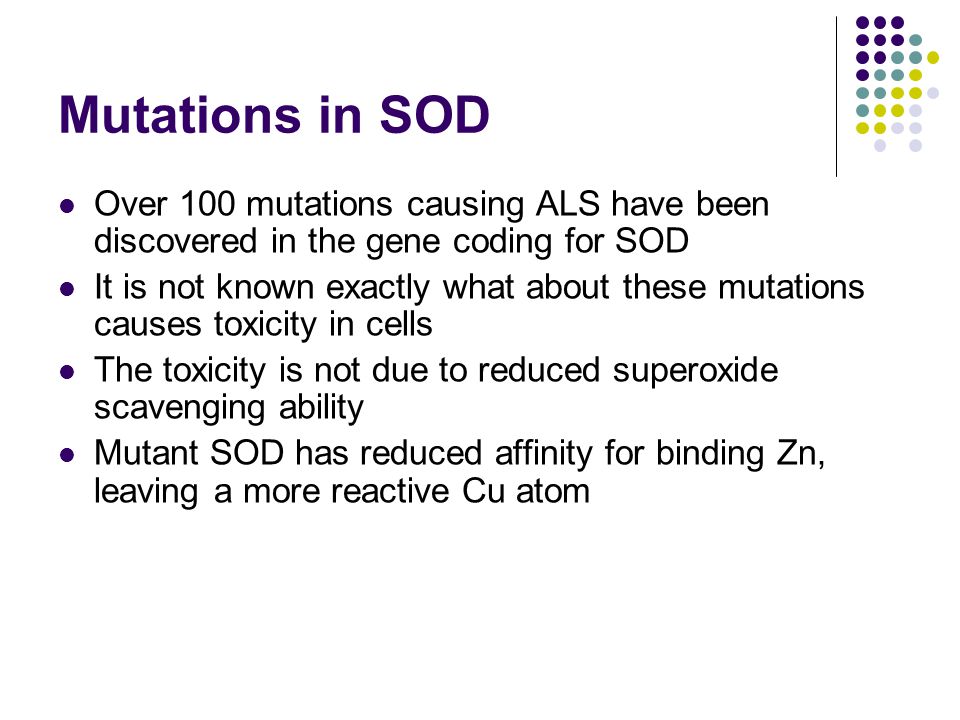Mutations in SOD Over 100 mutations causing ALS have been discovered in the gene coding for SOD It is not known exactly what about these mutations causes toxicity in cells The toxicity is not due to reduced superoxide scavenging ability Mutant SOD has reduced affinity for binding Zn, leaving a more reactive Cu atom