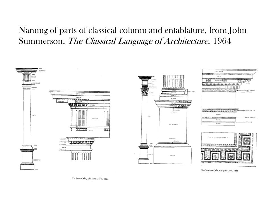 Parts Of A Column >> The Order Of The Orders Naming Of Parts Of Classical Column And Parts Of A Column >> The Order Of The Orders Naming Of Parts Of Classical Column And