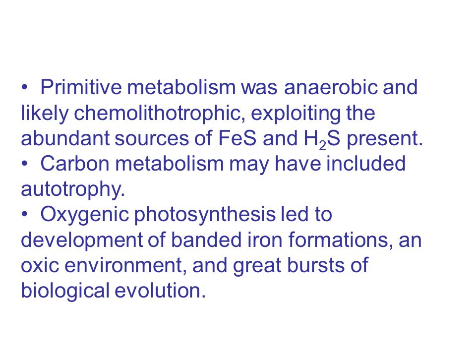 Primitive metabolism was anaerobic and likely chemolithotrophic, exploiting the abundant sources of FeS and H 2 S present.