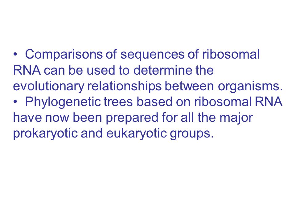 Comparisons of sequences of ribosomal RNA can be used to determine the evolutionary relationships between organisms.