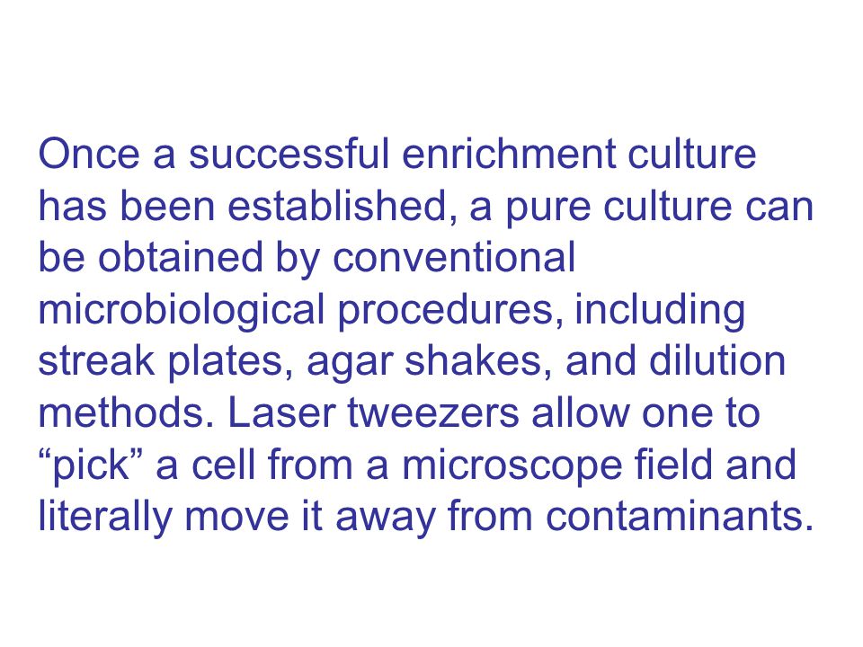 Once a successful enrichment culture has been established, a pure culture can be obtained by conventional microbiological procedures, including streak plates, agar shakes, and dilution methods.