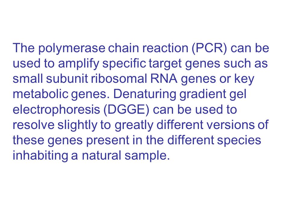 The polymerase chain reaction (PCR) can be used to amplify specific target genes such as small subunit ribosomal RNA genes or key metabolic genes.