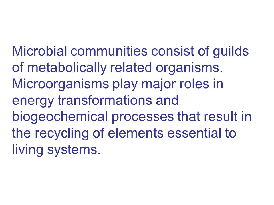 Microbial communities consist of guilds of metabolically related organisms.