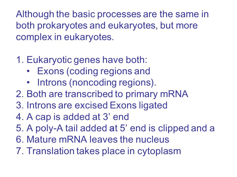 Although the basic processes are the same in both prokaryotes and eukaryotes, but more complex in eukaryotes.