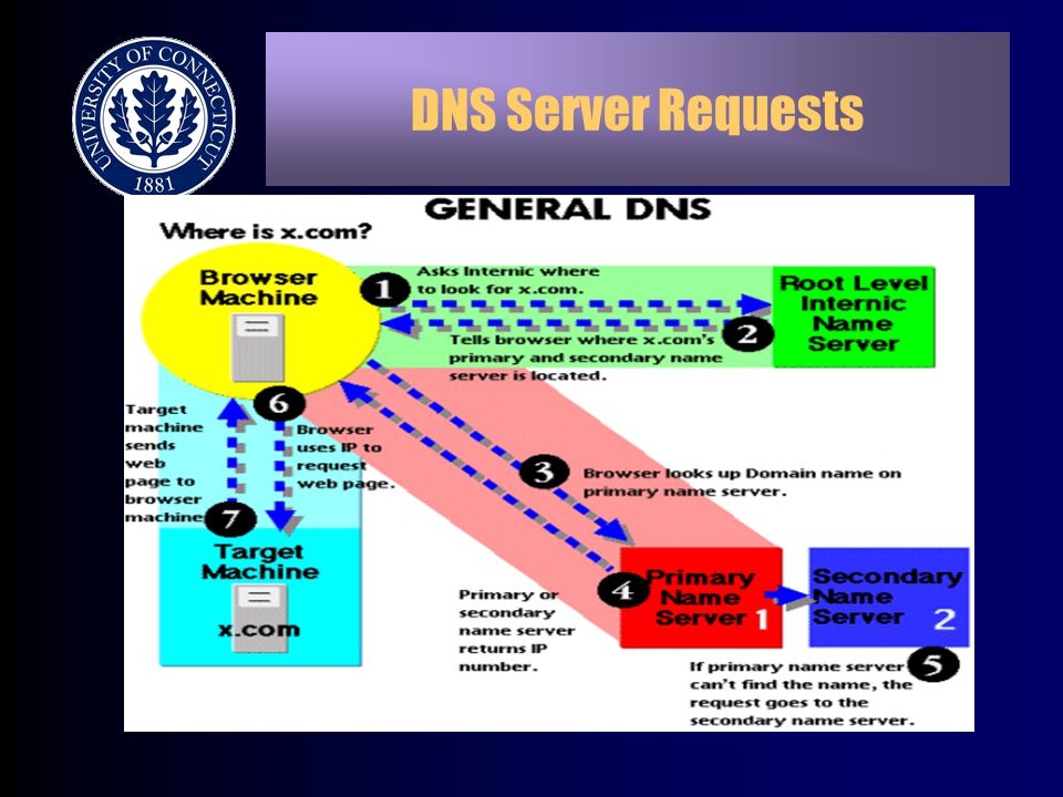 DNS Server Requests