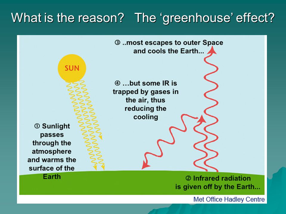 What is the reason The ‘greenhouse’ effect