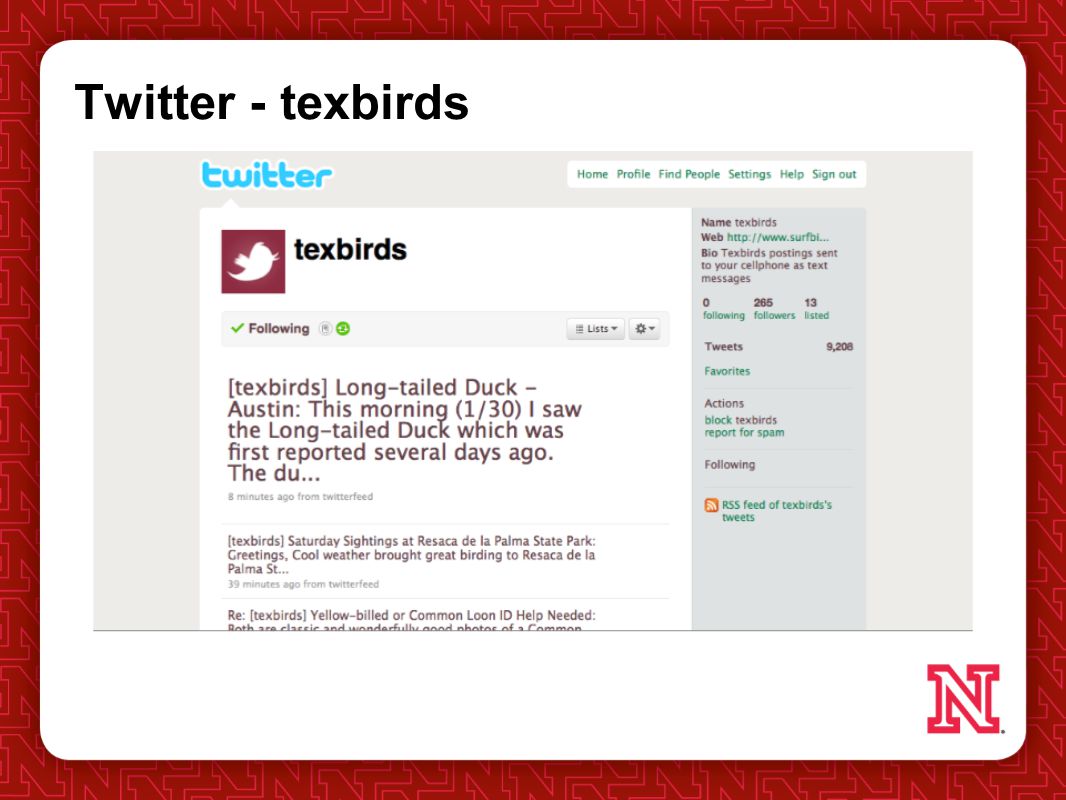 Twitter - texbirds