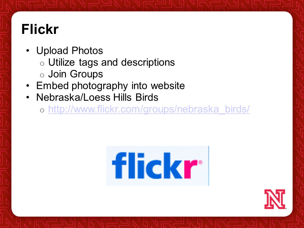 Flickr Upload Photos o Utilize tags and descriptions o Join Groups Embed photography into website Nebraska/Loess Hills Birds o